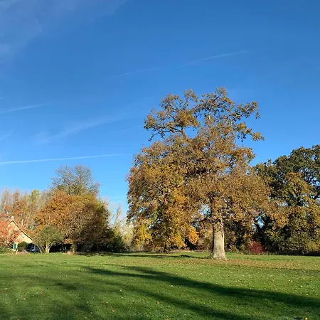 Le Manoir De Bois-en-ardres 3*