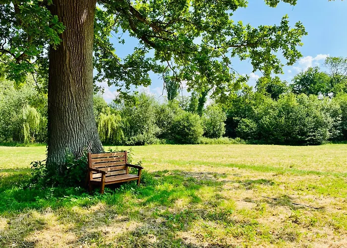 Le Manoir De Bois-en-ardres Bed & Breakfast 3*
