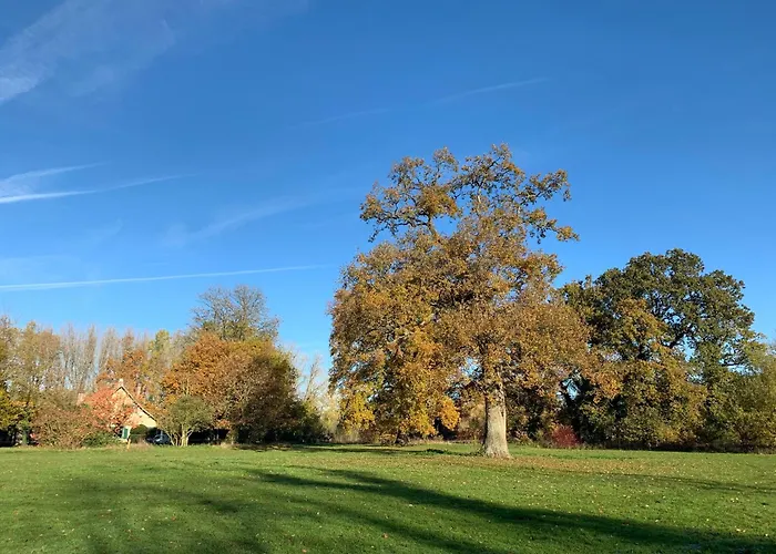 Le Manoir De Bois-en-ardres 3*